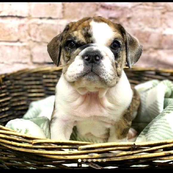 Meet your Posher, Jon - Picture 1 of 1